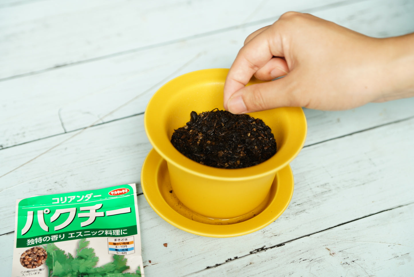 Cheerful Flower pot・植木鉢〈Cheerful〉1-33